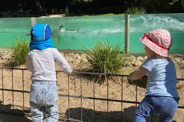Kinder bei einem gemeinsamen Ausflug im Zoo